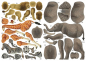 Preview: 3D Bastelset "Afrikanische Tiere"