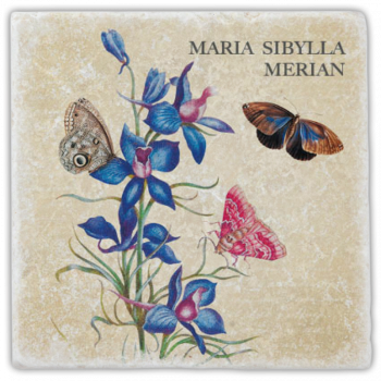 0980  Marmoruntersetzer "Merian"