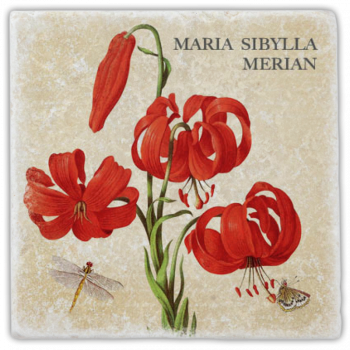 0981  Marmoruntersetzer "Merian"