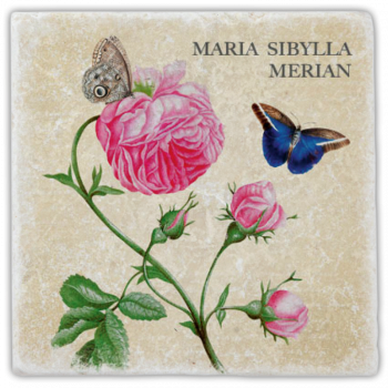 0982  Marmoruntersetzer "Merian"