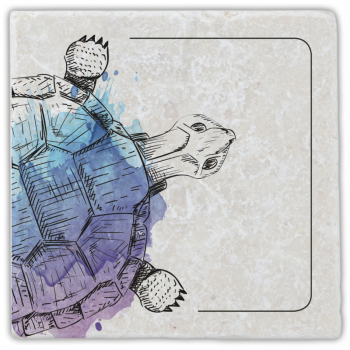 1009  Marmoruntersetzer Schildkröte 2/2