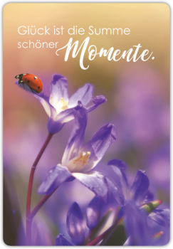 29002  Postkarte unser Finne "Marienkäfer"