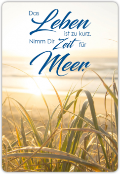 29003  Postkarte unser Finne "Meer"