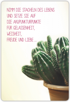 29004  Postkarte unser Finne "Kaktus"
