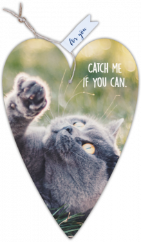 29117 Herzkarte unser Finne "Catch me if …"