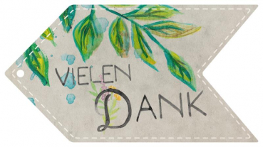 29248 Formkarte unser Finne "vielen Dank"