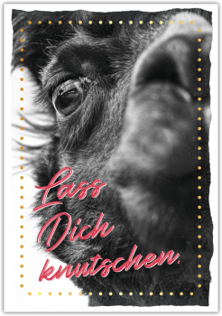 29802 Postkarte Happy Words "Lass Dich knutschen"