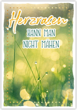 29825 Postkarte Happy Words "Herzrasen kann man nicht mähnen"