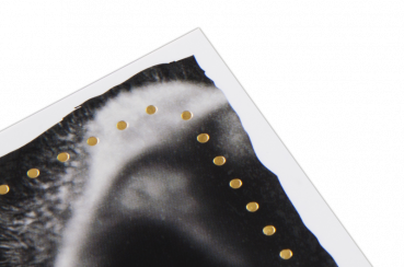 Preview: 29839 Postkarte Happy Words "Hier zählt man Möwen, …"