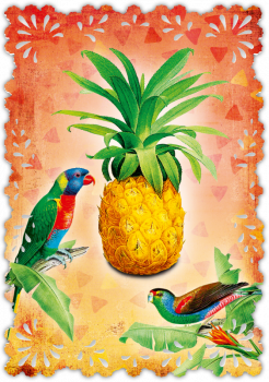 30033058 Grußkarte Romantique Ananas