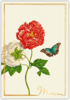 31201  Grußkarte "Merian"