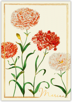 31203  Grußkarte "Merian"