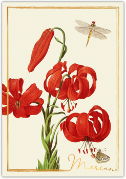 31205  Grußkarte "Merian"