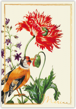 31206  Grußkarte "Merian"