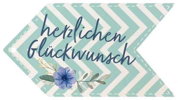 29246 Formkarte unser Finne "herzlichen Glückwunsch"